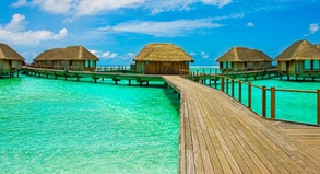 Fernziele wie die Malediven sind bei Dertour, Meier's Weltreisen und ADAC Reisen besonders gefragt