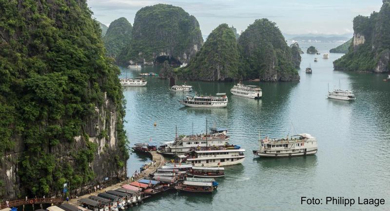 In der Halong-Bucht sind immer viele Dutzend Ausflugsboote unterwegs. Viele Reisende bleiben zumindest eine Nacht auf einem Schiff - doch das soll nun verboten werden