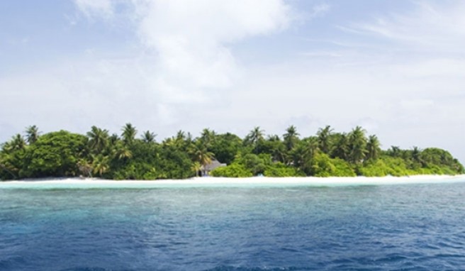 REISE & PREISE weitere Infos zu Nord-Ari-Atoll: Madoogali, Madoogali Resort, Malediven