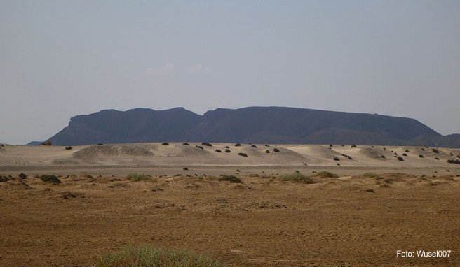 Wadi-al-Gamal-Nationalpark vom Tauchplatz Abu Ghusun am Roten Meer