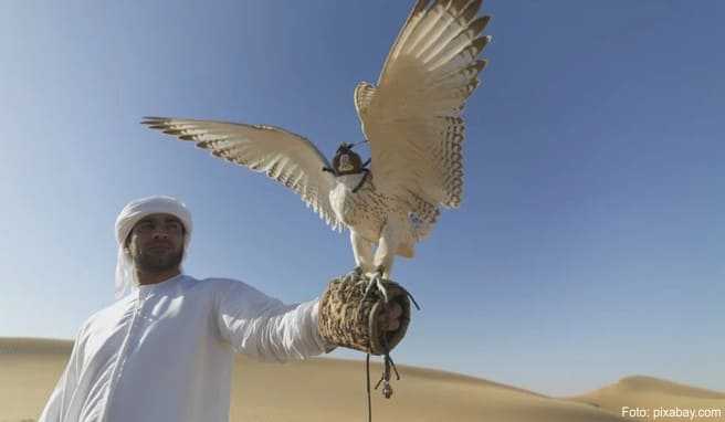 Reise in die Emirate  Tiere und Natur in Ras al Khaimah