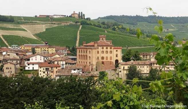 Barolo liegt inmitten der Weinberge, auf denen der berühmte Wein angebaut wird