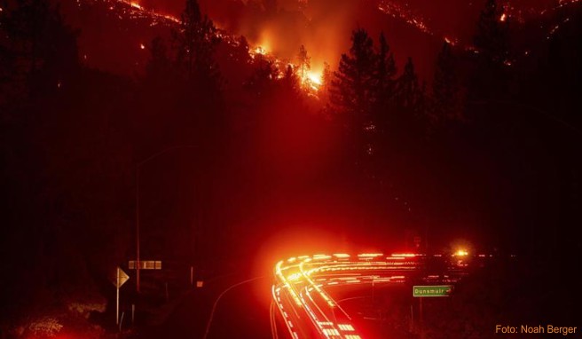 Waldbrand im Shasta-Trinity National Forest im Norden Kaliforniens