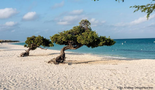 Karibik-Urlaub mal anders  Acht Reisetipps für die Insel Aruba
