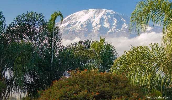Tansania-Reisen  Der Kilimandscharo auf die günstige Tour