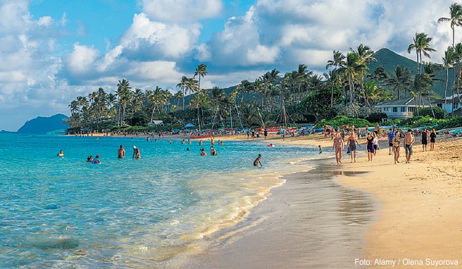 Makellos: Lanikai Beach auf Oahu