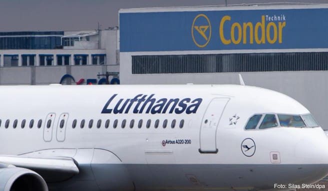 Kranich gegen Condor  Lufthansa beendet Zubringerdienste im Sommer