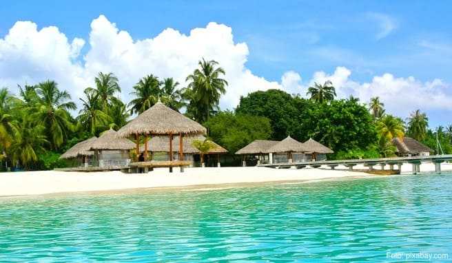 REISE & PREISE weitere Infos zu Malé statt Malle: Neun Gründe für Malediven-Urlaub