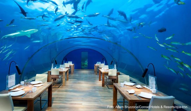 Speisen unter den Haien: Das »Conrad Rangali« mit seinem »Ithaa«-Restaurant war Vorreiter in Sachen Unterwasser-Restaurant