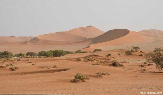 Reise durch Namibia  Die Wüsten Namibias sind bedroht<span _fck_bookmark=