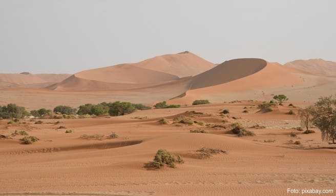 Ab in die Wildnis: In der Provinz Nordkap nahe Namibia sollen Abenteurer in Südafrika künftig auf ihre Kosten kommen - zum Beispiel bei Dünentouren