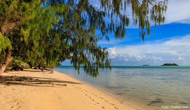 Umweltschutz  Palau verbietet als eines der ersten Länder Cremes