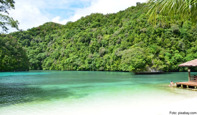 Palau  Pazifikinsel kassiert 100 Dollar Umweltgebühr