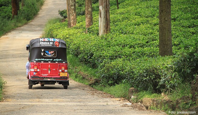 Die luftigen Tropen-Taxis mit ihren tollkühnen Piloten knattern überall über die Insel Sri Lanka