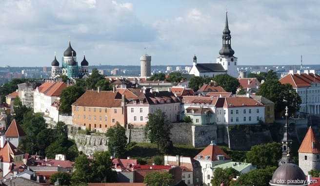 Tallinn 2011  Kulturhauptstadt entdeckt die Ostsee