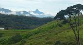 Bergwelt in Sri Lanka: Der Adam’s Peak genannte Gipfel Sri Pada