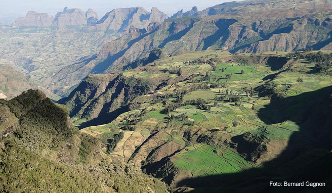 Reisen nach Äthiopien
  
Ostafrikanisches Hochland immer attraktiver 

