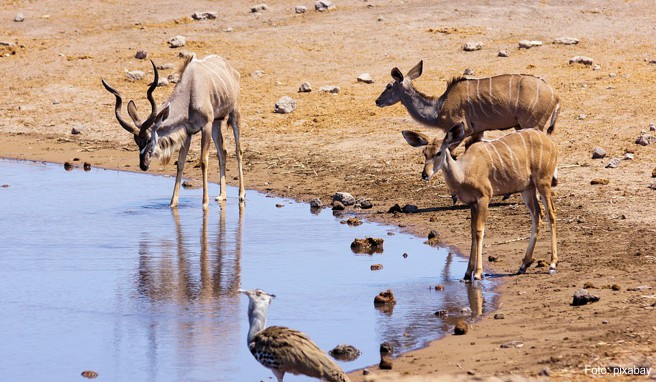 Namibia: Natur pur im Caprivi-Streifen