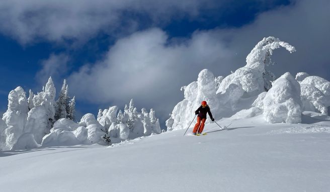 Mitten drin im Schnee, abseits der Piste. Wie hier in Sun Peaks dürfen Skifahrer präparierte Bereiche verlassen.