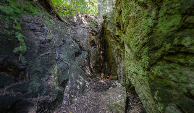 Auerhähne und Sagen  Wandern auf «Genießerpfaden» im Schwarzwald