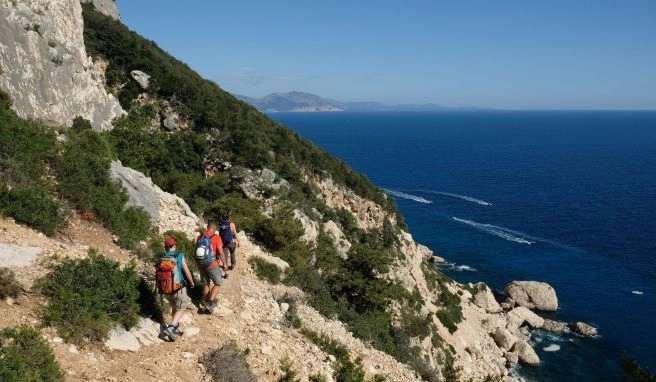 Der wilde Blaue Auf dem Selvaggio Blu in Sardinien