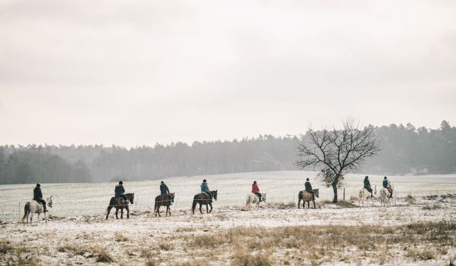 Die Rittführerin und ihr Pferd haben beim Wanderreiten das Kommando. 