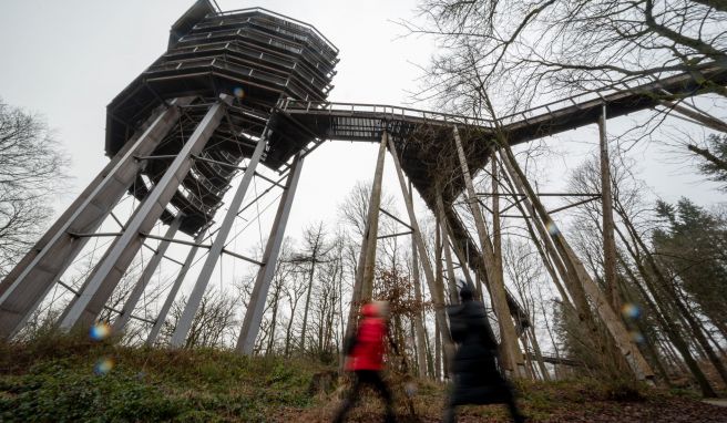 REISE & PREISE weitere Infos zu Das Saarland lockt mit Natur, Genuss und Kultur