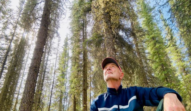 Was passiert, wenn nichts passiert? Tagebuch einer Auszeit