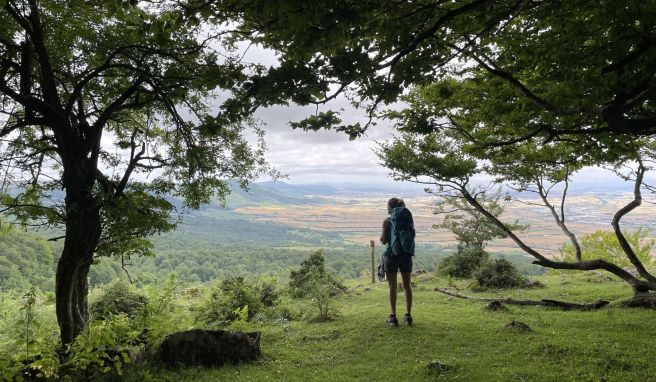 REISE & PREISE weitere Infos zu Der spanische Ignatiusweg: Wo Pilger noch einsam wandern