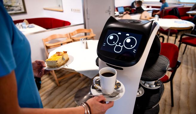 Roboter Bella Bot sieht ein bisschen aus wie eine Katze. Roboter Bella Bot sieht ein bisschen aus wie eine Katze.