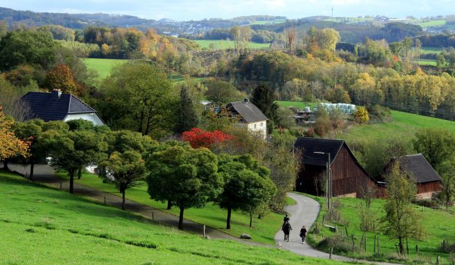 Idylle abseits der Tagebaue: Abgelegene Bauernhöfe, Viehweiden und Wälder prägen das Bergische Land bei Lindlar.