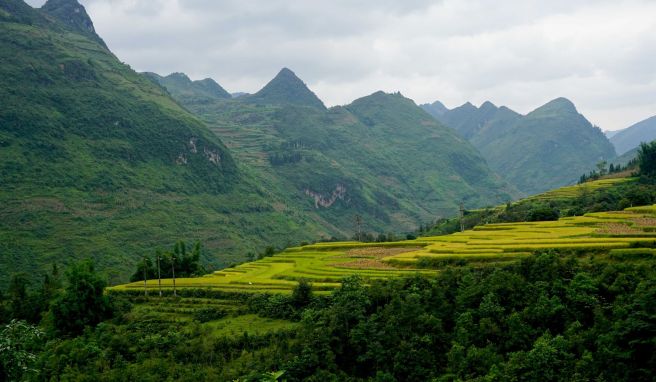 Vietnam bietet auch das: wilde Berglandschaften. Längere Reisen ins Land sind nun visafrei möglich.