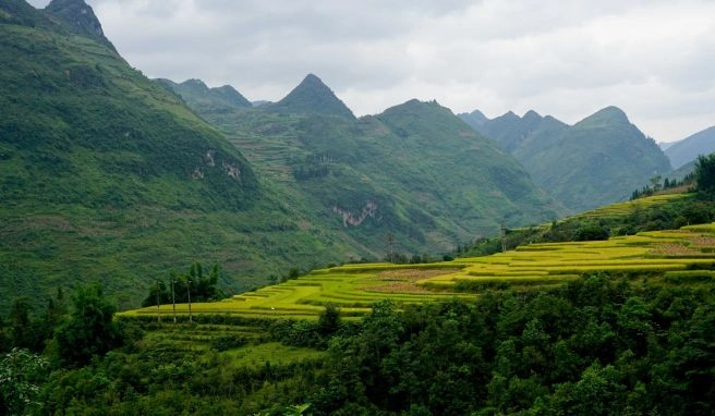 Vietnam, Hainan, Kenia: Drei Visa-News in der Fernreise Neues aus der Reisewelt