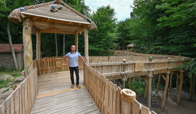 Bernd Hensch, Direktor vom Zoo Eberswalde, steht auf dem neuen hölzernen Erlebnispfad hoch über den Tiergehegen. 