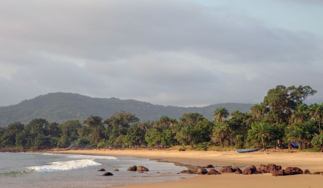 Westafrika Ökotourismus in Sierra Leone: Wo die Rufe der Affen hallen