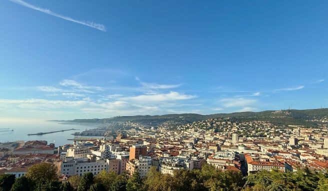 Wo der Wind ein Fall fürs Museum ist