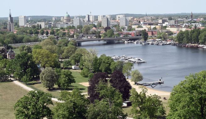 Der Blick vom Flatowturm über den Park Babelsberg.