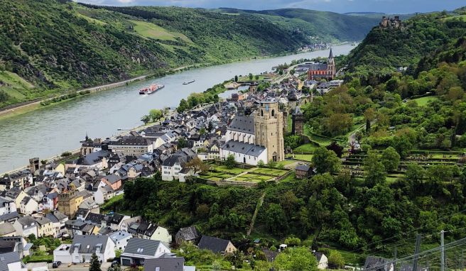 Blütenpracht und Geschichte Welterbe-Gärten am Mittelrhein: Im Tal der grünen Oasen