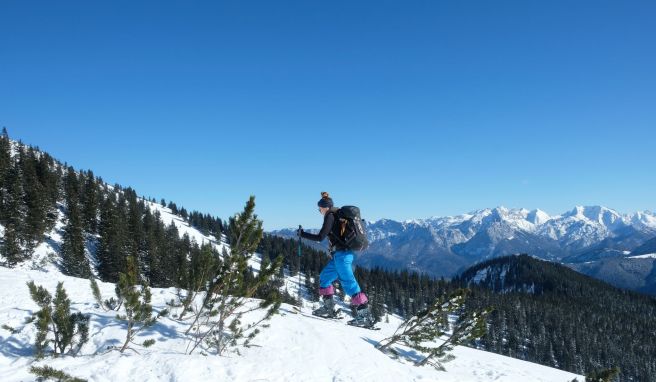 Unterhalb des Dürrnbachhorns weitet sich der Blick auf die Loferer Steinberge. 