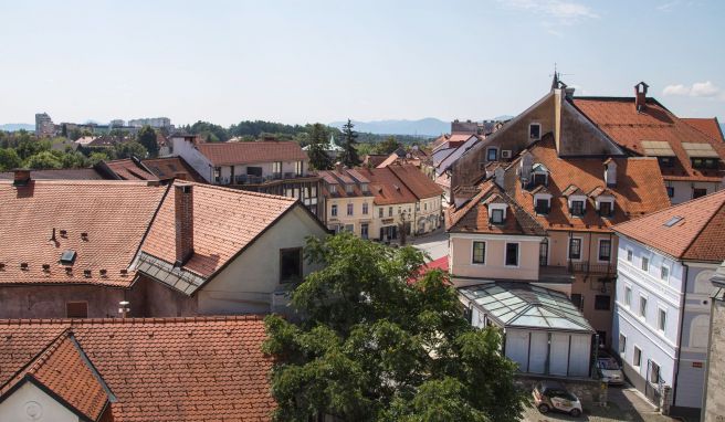 Slowenien: Wo die Krainer Wurst herkommt Kulinarische Reise