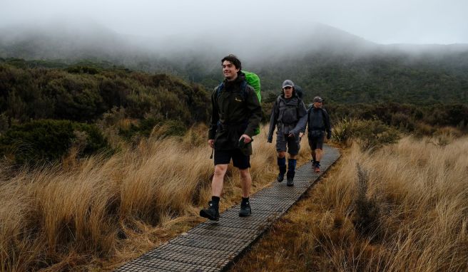 Auf dem Holzweg durch den Nieselregen: Mit der richtigen Einstellung ist auch das ein Genuss auf dem Heaphy Track.