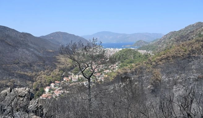 In der bei Touristen beliebten Region Marmaris hat das Feuer ganze Landstriche verbrannt zurückgelassen. 