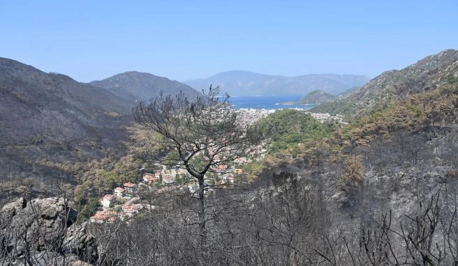 In der bei Touristen beliebten Region Marmaris hat das Feuer ganze Landstriche verbrannt zurückgelassen. In der bei Touristen beliebten Region Marmaris hat das Feuer ganze Landstriche verbrannt zurückgelassen.