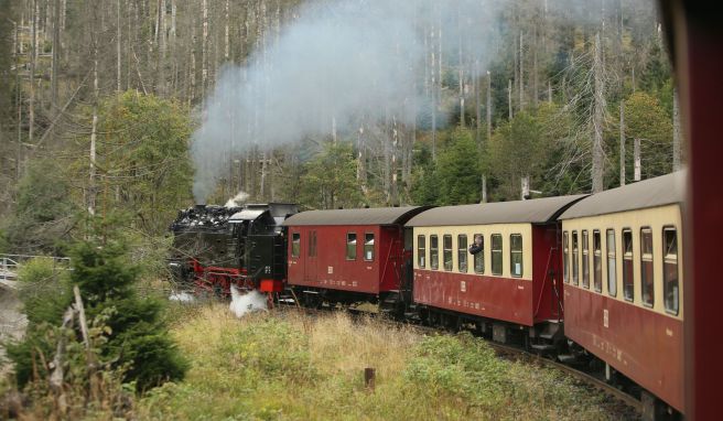 Mit Dampf auf den Gipfel  Seit 30 Jahren wieder per Zug zum Brocken