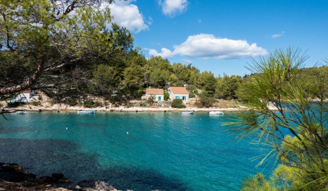 Schroffe Felsen, klares Wasser: Diese Bucht nahe Mali Losinj steht fast sinnbildlich für die Kvarner-Inseln.