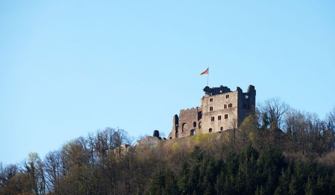 Die Burg Hohengeroldseck steht auf einem Berg oberhalb von Seelbach. Ein neues Kultur- und Tourismusprojekt stellt die Oberrheinregion grenzüberschreitend als «Land der Burgen» heraus.