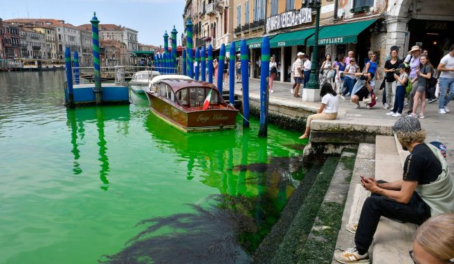 «Färbendes organisches Mittel»  Canal Grande in Venedig leuchtet grün