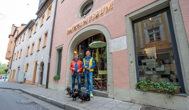 Tierisch kurios  Das Dackelmuseum feiert Neustart in Regensburg