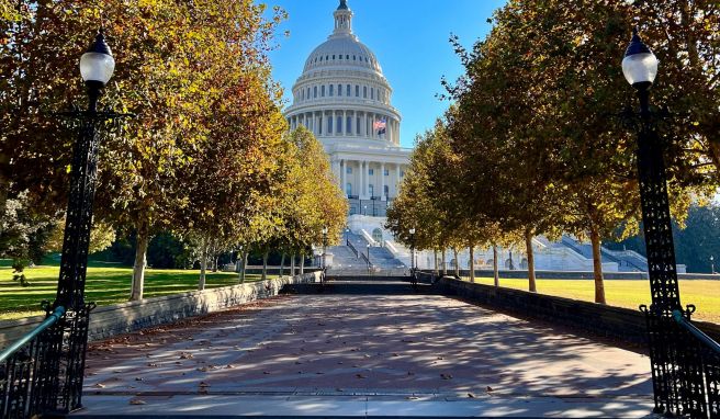 REISE & PREISE weitere Infos zu Vier Gründe für eine Reise nach Washington D.C.