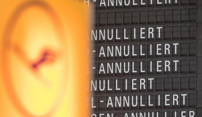 Bodenpersonal streikt Warnstreik: Diese Rechte haben Flugreisende